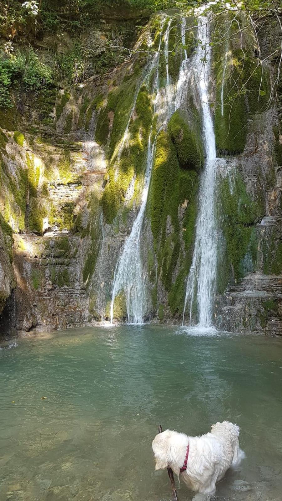 Alloggio Petrigh Canal di Grivo Εξωτερικό φωτογραφία