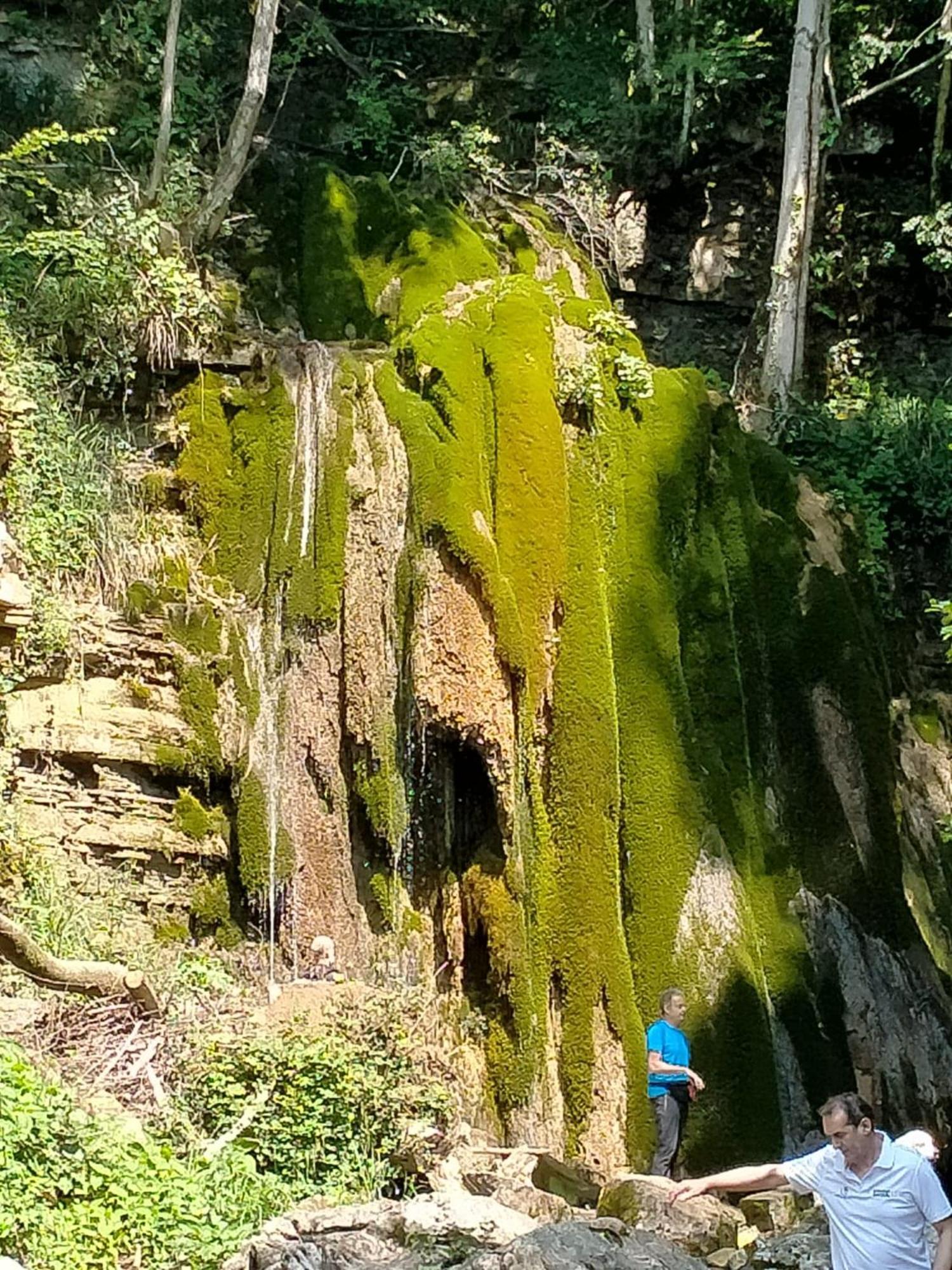 Alloggio Petrigh Canal di Grivo Εξωτερικό φωτογραφία